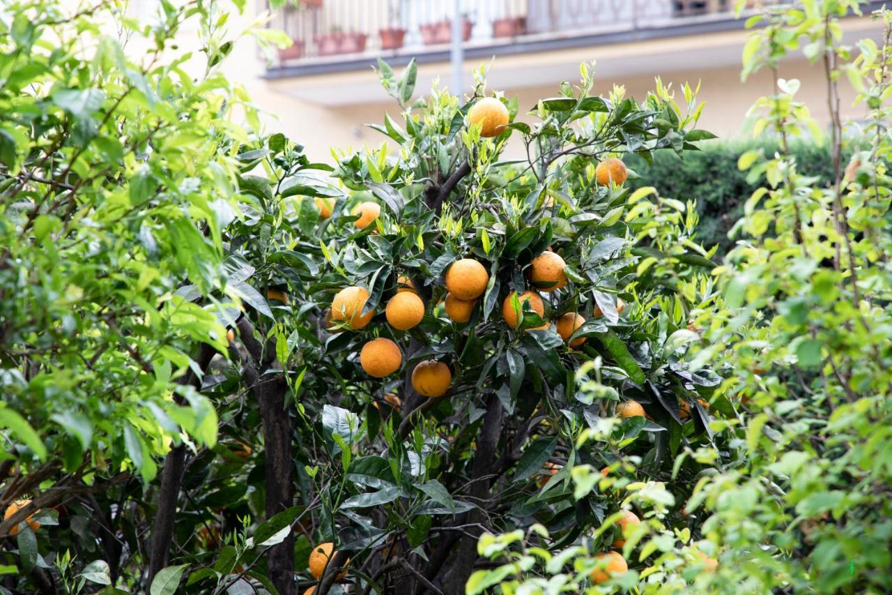 Bed and Breakfast L' albero di giada Caserta Esterno foto